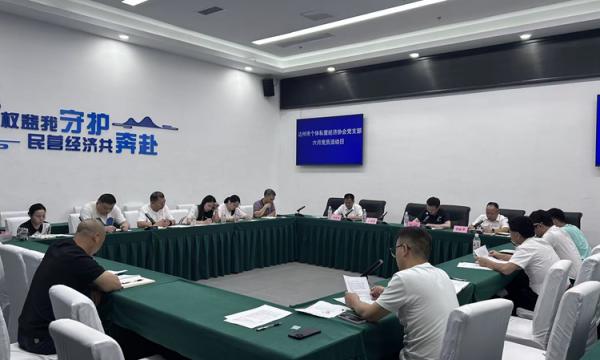 市个私协会党支部组织开展2026 年 6 月“党员活动日”活动